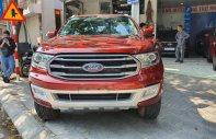 Ford Everest 2019 - Đăng ký 1 chủ ít sử dụng - Full option giá 840 triệu tại Hà Nội