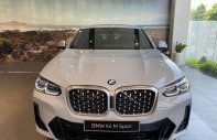 BMW X4 2022 - Xe hot có sẵn giao ngay quà tặng hấp dẫn giá 3 tỷ 499 tr tại Bình Dương