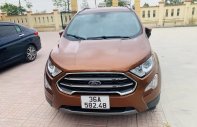 Ford EcoSport 2020 - Màu nâu, giá 575tr giá 575 triệu tại Thanh Hóa