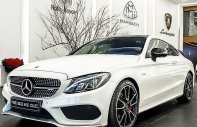 Mercedes-Benz C43 2018 - Bán ô tô Mercedes C43 3.0 V6 năm 2018, màu trắng, nhập khẩu giá 3 tỷ 888 tr tại Hà Nội