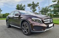 Mercedes-Benz GLA 250 2016 - Nâu cafe gầm cao cực hiếm giá 1 tỷ 68 tr tại Tp.HCM