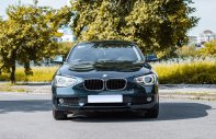 BMW 116i 2014 - Màu xanh lam, nhập khẩu nguyên chiếc  giá 655 triệu tại Hà Nội