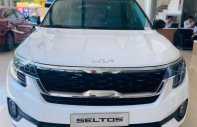 Kia Seltos 2022 - Còn 1 xe sẵn giao ngay trong ngày giá 699 triệu tại Tp.HCM