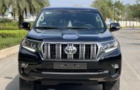 Toyota Land Cruiser Prado 2020 - Xe màu đen, xe nhập giá 2 tỷ 680 tr tại Hà Nội