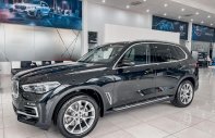 BMW X5 2022 - Giá 4 tỷ 019 triệu - Sẵn giao ngay giá 4 tỷ 19 tr tại Hải Phòng
