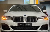 BMW 530i 2022 - Nhập nguyên chiếc từ Đức giá 3 tỷ 339 tr tại Khánh Hòa