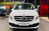 Mercedes-Benz V250 2022 - Màu trắng/ nội thất đen/ giao ngay giá 2 tỷ 845 tr tại Hà Nội