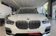 BMW X5 2022 - Giảm ngay 100tr, có xe ngay, đủ màu, quà tặng hấp dẫn cho khách hàng sắm xế cưng giá 4 tỷ 169 tr tại Hải Phòng