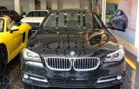 BMW 520i 2013 - Xe rất êm ái, mượt mà giá 1 tỷ 99 tr tại Hà Nội