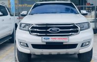 Ford Everest 2019 - Sổ bảo hành bảo dưỡng đầy đủ giá 970 triệu tại Tp.HCM