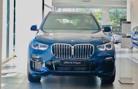 BMW X5 2022 - Ưu đãi đầu năm cực tốt, quà tặng phụ kiện và tiền mặt cho khách hàng liên hệ sớm trong tháng giá 4 tỷ 19 tr tại Tp.HCM