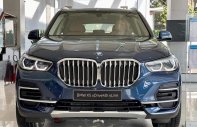 BMW X5 2022 - Giao xe ngay, khuyến mại khủng giá 4 tỷ 169 tr tại Thái Nguyên