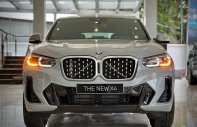 BMW X4 2023 - Nhập khẩu nguyên chiếc - Sẵn xe giao ngay kèm nhiều quà tặng hấp dẫn giá 3 tỷ 649 tr tại Nghệ An