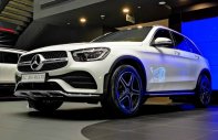 Mercedes-Benz GLC 300 2023 - Hỗ trợ giá tốt nhất Bình Dương giá 2 tỷ 639 tr tại Bình Dương