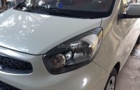Kia Morning  van nhập mới nguyên chiếc 2016 2016 - Morning van nhập mới nguyên chiếc 2016 giá 256 triệu tại Thái Bình