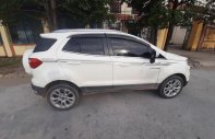 Ford EcoSport 2019 - Xe 1 chủ, full bảo dưỡng, không đâm đụng giá 485 triệu tại Hà Nam