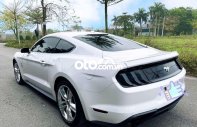 Ford Mustang   Premium Bản Kỉ Niệm 55 years 2020 - Ford Mustang Premium Bản Kỉ Niệm 55 years giá 2 tỷ 700 tr tại Hải Dương