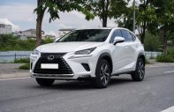 Lexus NX 300 2019 - 1 chủ sử dụng từ đầu, model 2020 giá 2 tỷ 399 tr tại Hà Nội