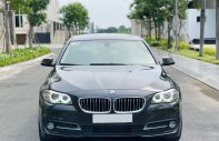 BMW 520i 2016 - Hotline: 0333385505 giá 950 triệu tại Tp.HCM