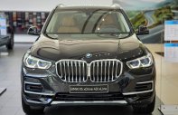 BMW X5 2022 - Ưu đãi cực số tháng 6, giảm mấy trăm triệu tiền mặt, quà tặng cực nhiều cho khách giá 3 tỷ 689 tr tại Tp.HCM