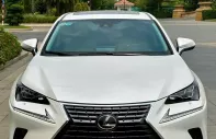 Lexus NX 300 2020 - Lexus NX300 - 2020 - 39.000 Km giá 2 tỷ 50 tr tại Tp.HCM