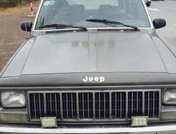 Jeep Cherokee 1995 - Cần bán gấp Jeep Cherokee đời 1995