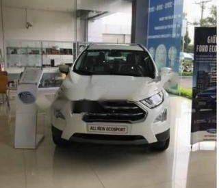 Ford EcoSport   Titanium 1.0 EcoBoost    2018 - Bán EcoSport 1.0L Ecoboost Titanium AT (số tự động 6AT)