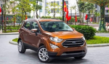 Ford EcoSport   2019 - Bán Ford EcoSport đời 2019, màu nâu, giá tốt