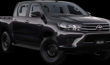 Toyota Hilux  MT 2018 - Bán Toyota Hilux MT 2018, màu đen, xe nhập chính chủ, giá tốt