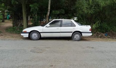 Honda Accord   1986 - Bán Honda Accord 1986, màu trắng, nhập khẩu
