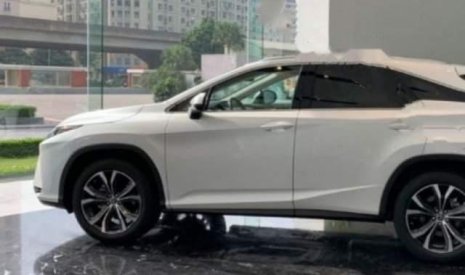 Lexus RX 300 2019 - Cần bán Lexus RX 300 2019, màu trắng