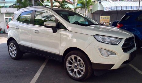 Ford EcoSport   2019 - Bán Ford EcoSport năm 2019, màu trắng, nhập khẩu, 648tr