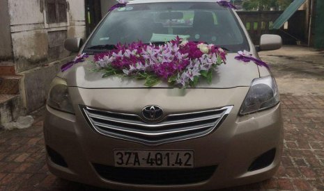 Toyota Vios 2010 - Bán Toyota Vios đời 2010, màu nâu, giá 280tr