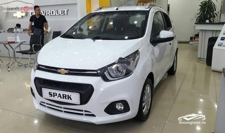 Chevrolet Spark LT 2018 - Bán Chevrolet Spark LT sản xuất 2018, màu trắng, giá chỉ 315 triệu