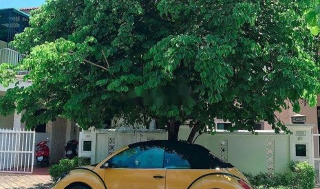 Volkswagen Beetle 2004 - Cần bán lại xe Volkswagen Beetle đời 2004, màu vàng, nhập khẩu