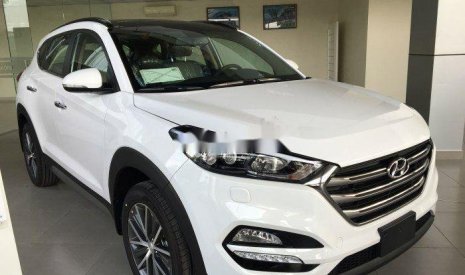 Hyundai Tucson   2016 - Bán Hyundai Tucson sản xuất 2016, màu trắng, nhập khẩu, 785 triệu