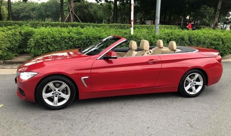 BMW 4 Series 420i 2019 - Mua xe hợp gu - Vi vu năm mới, BMW 420i năm sản xuất 2019, màu đỏ, xe nhập