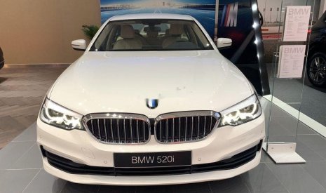 BMW 5 Series 520i 2018 - Bán ô tô BMW 5 Series 520i đời 2018, màu trắng, nhập khẩu nguyên chiếc