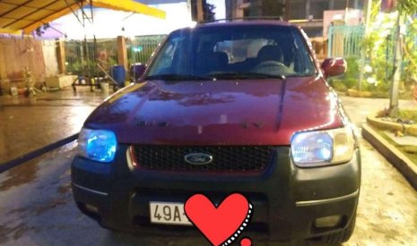 Ford Escape   2.0 MT  2004 - Bán Ford Escape 2.0 MT năm 2004, màu đỏ số sàn, giá 230tr