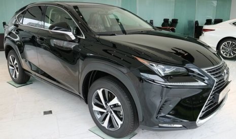 Lexus NX 300 2020 - Bán xe hạng sang - Chính hãng 100%: Lexus NX 300 sản xuất 2020, màu đen